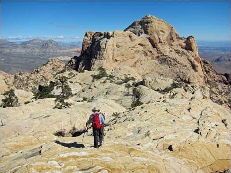 Sandstone Landscape